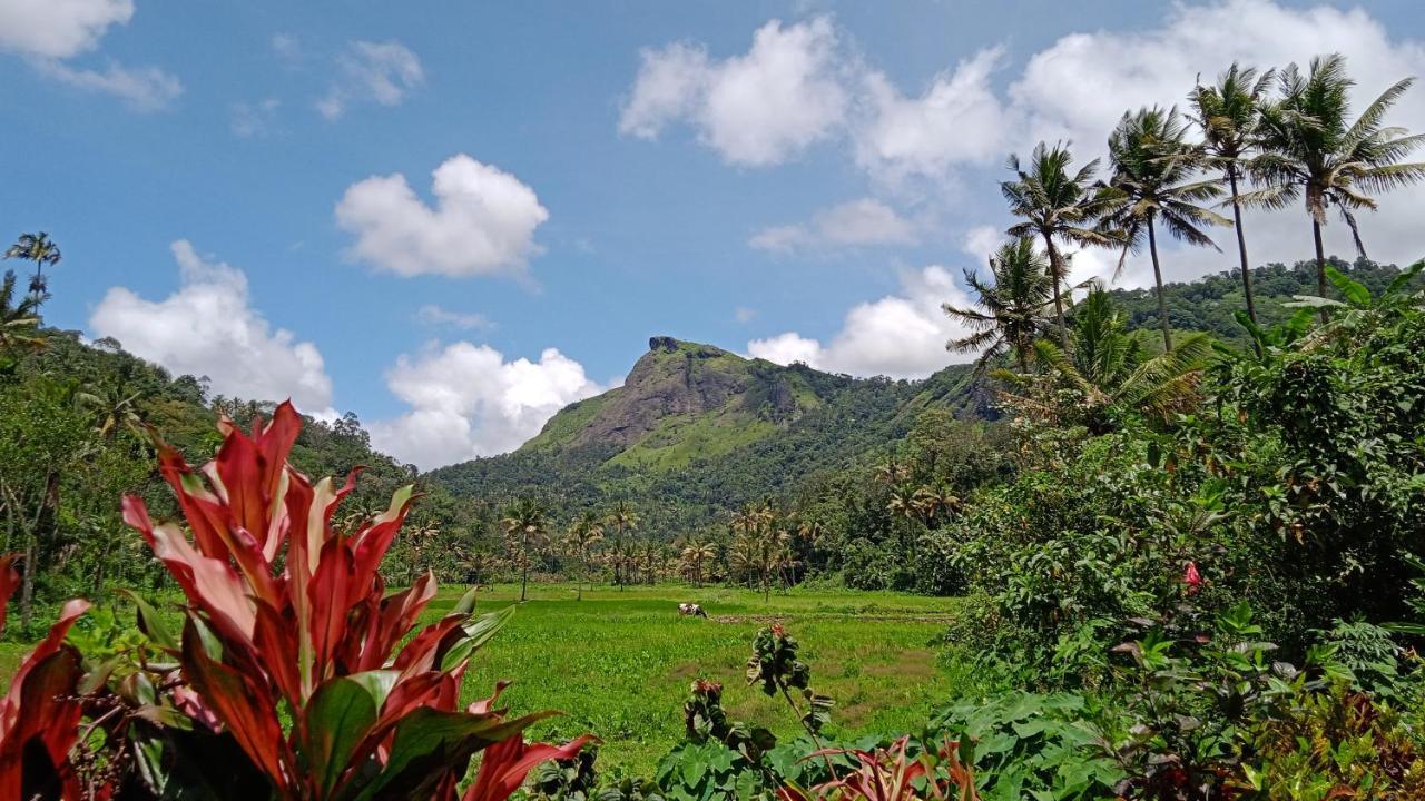 Maliyeckal Homestay มุนนาร์ ภายนอก รูปภาพ