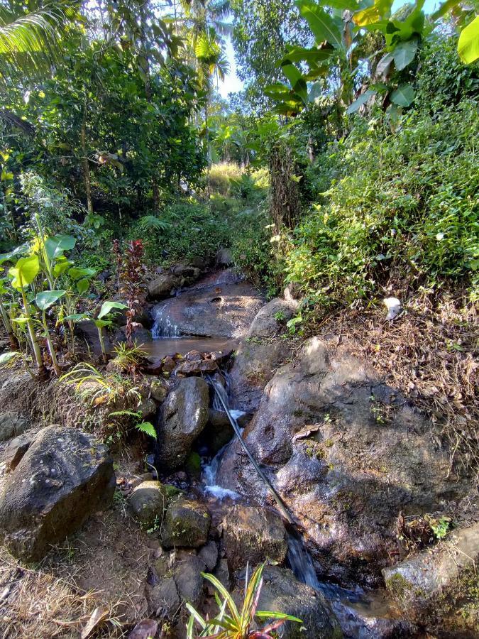 Maliyeckal Homestay มุนนาร์ ภายนอก รูปภาพ
