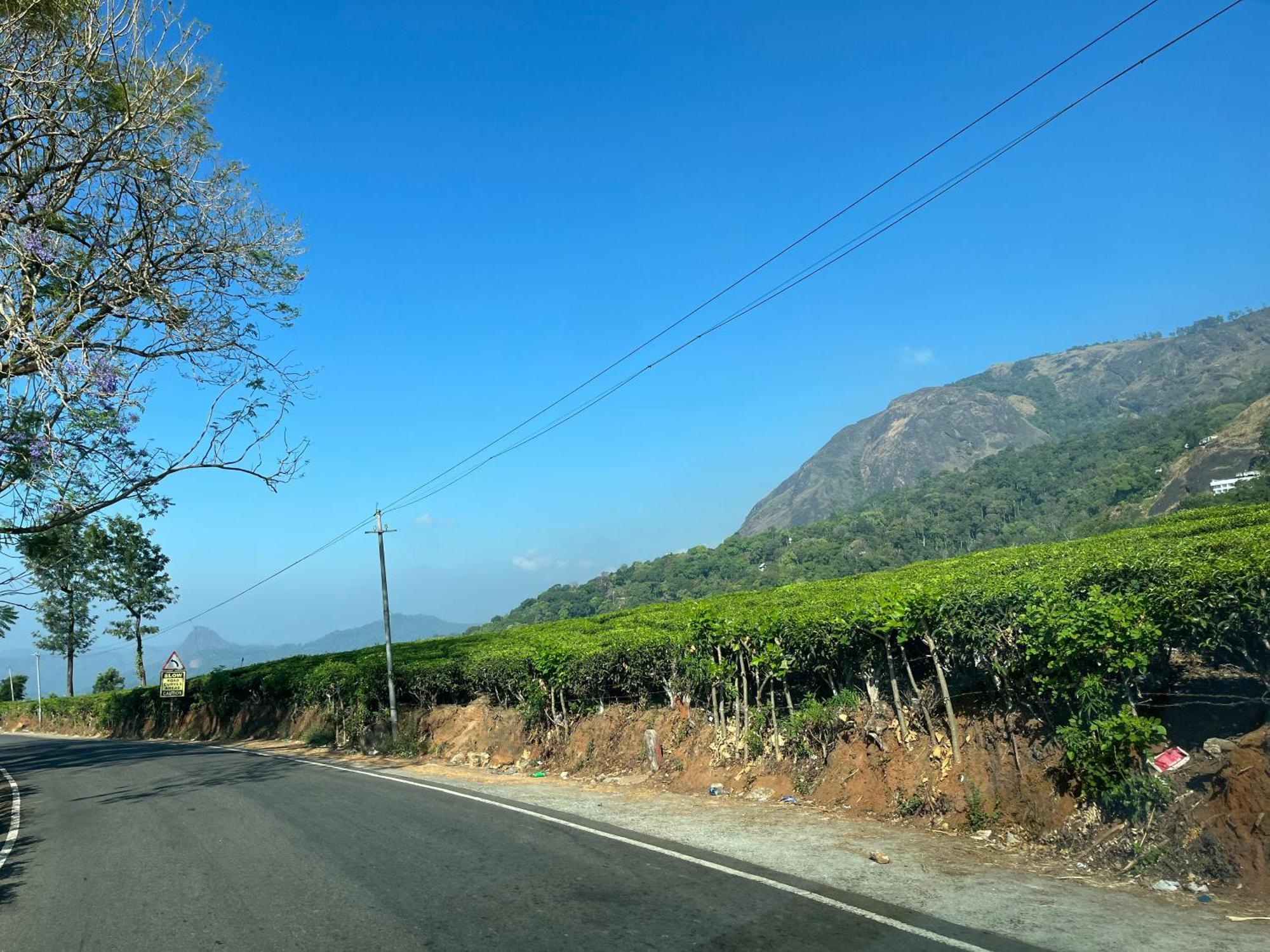 Maliyeckal Homestay มุนนาร์ ภายนอก รูปภาพ