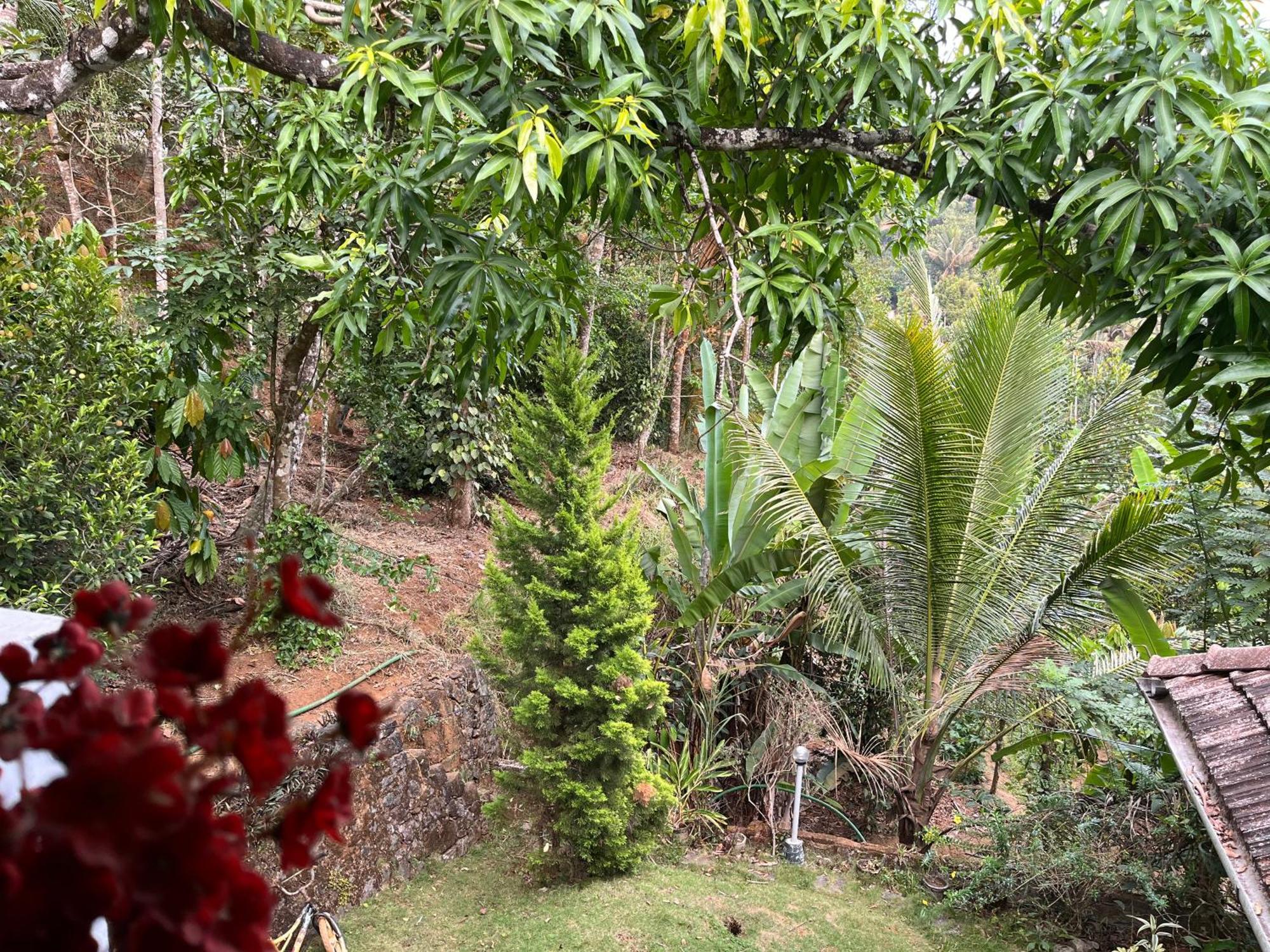 Maliyeckal Homestay มุนนาร์ ภายนอก รูปภาพ